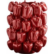 Sweet Pepper Röd Blank