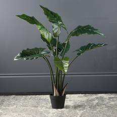 Calla Tree in Black Pot - Green