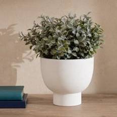 Foliage in Footed Pot - Green