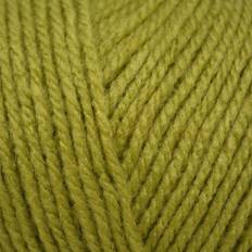 Special DK Knitting Wool Yarn 100g 2180