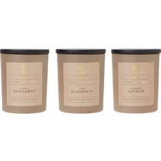 Wikholm form Yasu Aromatherapy 3-pack Doftljus