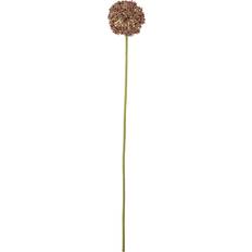 Bruna Konstgjorda växter Bloomingville Allium Blomma Brun Konstgjord växt