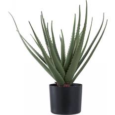 House Nordic Aloe Vera Kunst Træ H51 cm Grøn Kunstig plante