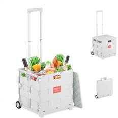Shopping Trolley Foldable Basket With Wheels Lid Telescopic - White