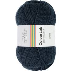 Yarn & Needlework Supplies West Yorkshire Spinners ColourLab Aran 100g
