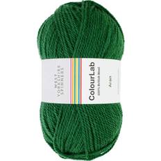 Yarn & Needlework Supplies West Yorkshire Spinners ColourLab Aran 100g
