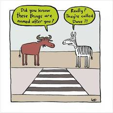 Blue Cards & Invitations Woodmansterne Zebra Crossing Blank Greeting Card