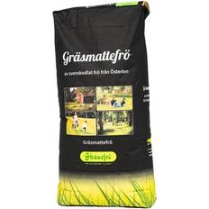 Grass Seed Siesta