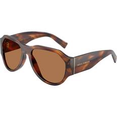 Dolce & Gabbana Men Sunglasses Dolce & Gabbana Men's Sunglasses Acetate Turtle Bronze Brown