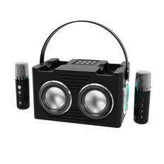 Melitt Portable Bluetooth Karaoke Speaker with High-Power Bass