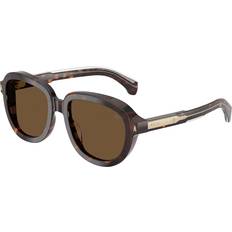 Solglasögon Moncler ME6007U Cirsee Sköldpaddemönstradeshell Solglasögon Män