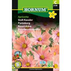 Hornum Rosenskära Apricotta
