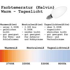 LED Außen-Wandleuchte Schwarz IP54 Porto Up&Down 4W 260lm Tageslicht 6000K kaltweiß