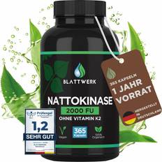 Nattokinase 2000 FU Jahresvorrat 365 Nattokinase Kapseln je 100mg