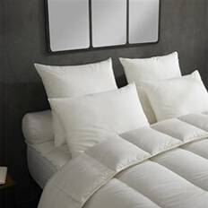 Oreillers en Fibre Dodo Lot de 2 Oreillers Micro Douceur 60 x 60 cm Oreiller en Fibre
