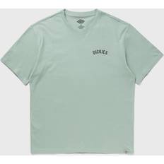 Green T-shirts Dickies Snake T-Shirt - Green
