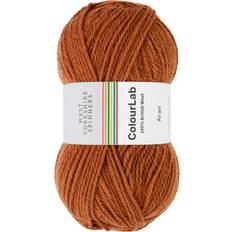 Orange Yarn West Yorkshire Spinners ColourLab Aran 100g