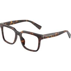 Glasögon & Läsglasögon Dolce & Gabbana DG3422 502 51 Sköldpaddemönstradeshell Glasögon