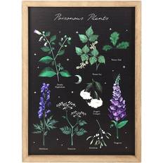Gothic Homeware Poisonous Plants Wall Print Framed Art