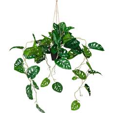 Künstliche Pflanzen hjh OFFICE Kunstpflanze Monstera Climb 75 cm Grün Künstliche Pflanzen