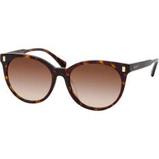 Ralph Lauren Solbriller Kvinder Tortoiseshell - Glossy Dark Tortoise