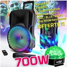 Karaokés Enceinte Party Karaoke 700W Sono DJ Portable Sur Batterie Disco Mobile 12 LED RGB USB Bluetooth Radio FM + Mic + Boule