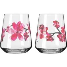 Ritzenhoff Drikkeglas Ritzenhoff Sommersonett Nr. 3 & 4 Vandglas 2-pak Drikkeglas 2stk
