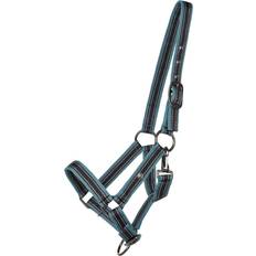 Polyester Halters & Lead Ropes QHP Licol De Poulain Collection Pour Cheval - Bleu
