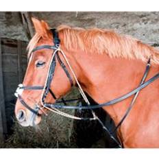 Reins T.de.T Gogue T de T 01 - Noir