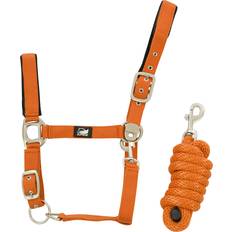 Supreme Ensemble Licol En Nylon Et Longe Tressé Pour Cheval - Orange
