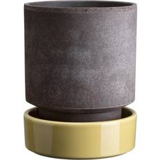 Bergs Potter Krukor på rea Bergs Potter Hoff Kruka Ø16 cm Raw Grey-Pale Yellow ∅16cm