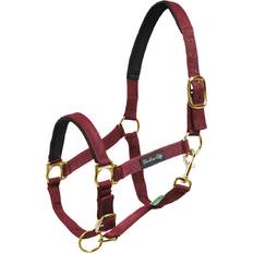 Imbracature per cavalli Capestro Cavallo In Nylon Con Rinforzo In Neoprene - Marron