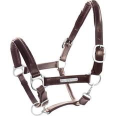Redini e Guinzagli Testiera Cavallo Con Fibbie In Ottone Doppio Cuoio - Marron