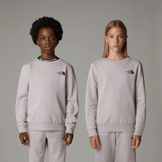 The North Face Sweatshirts Børnetøj The North Face Simlpe Dome Crew Sweatshirt - Moonstone Grey