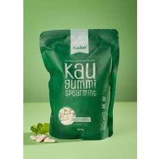 Fødevarer Xylit Kaugummi 600g Nachfüllpack