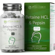 Betaine HCL Pepsin Supplement 650mg Capsules