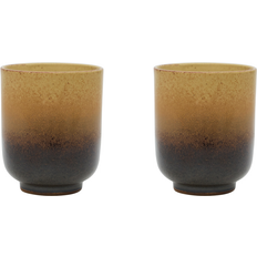 Nori 2-Pack Amber