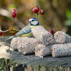 Seeds Suet Logs with Seeds 6 Pack