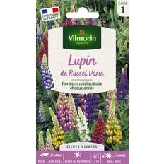 Plantas Vilmorin Lupino de Russel Varía Multicolor 9 x 0.5 x 16 cm