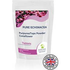 Healthy Mood Echinacea 300mg Dry Extract Tablets