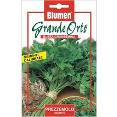 Semi di Verdura Semi Prezzemolo Gigante Maxi Orto Blumen