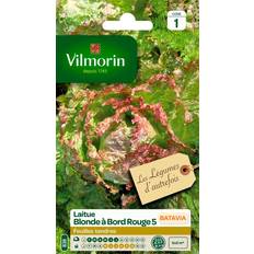 Graines Vilmorin Laitue Batavia Blonde À Bord Rouge