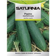 Semillas Saturnia Semillas Pepino Marketmore 5 Gramos