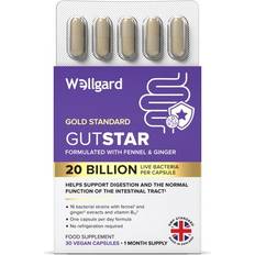 Wellgard Gutstar Probiotics 16 Strain Probiotics for Gut Health with Fennel