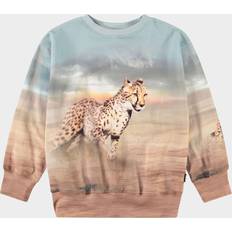 Molo Sweatshirts Børnetøj Molo Mattis Sweatshirt Running Cheetahs - Brun