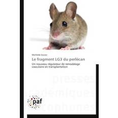 Le Fragment LG3 Du Perlécan Schulbücher