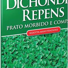 Semi di erbe Prato Black Dichondra 200 gr Blumen