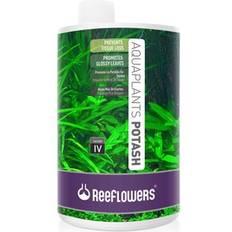 1800Flowers Potash Solution IV Aquarium Plant Treatment 34-oz Bottle