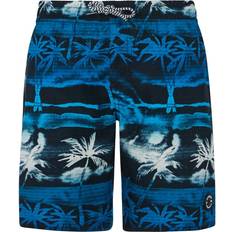 Protest Kid's PRTSteven Boardshorts - Blue
