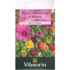 Graines Fleurs Melliferes Melange Vilmorin
